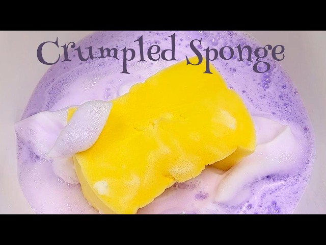 ASMR Sponge 1256.Crumpled Sponge (Windy)
