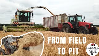 WINTER WHEAT IS SAFELY IN THE PIT | WHOLECROP 2022