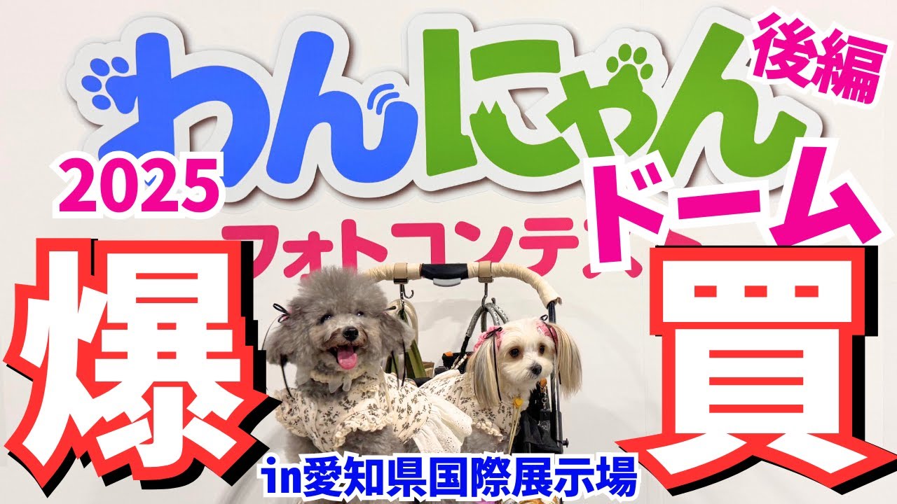 【わんにゃんドーム2025】コスパ最強福袋に驚愕！最大級のペットイベントで無料サンプルや、体験、視聴者さんとの交流も💛愛知県国際展示場
