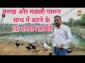 बत्तख और मछली पालन साथ में करने के फ़ायदे || Duck And Fish Farming in india