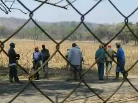 Zimbabwe farmer seriously assaulted by land settlers