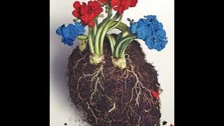 Gen Hoshino - Pop Virus