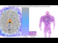 Super saiyan infinity goku vs zeno sama power levels all forms fanspiction