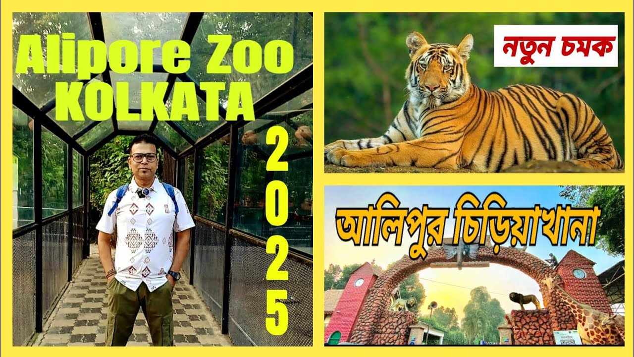 আলিপুর চিড়িয়াখানা 2025 এর নতুন চমক | Allipore Zoo Kolkata | Alipore Zoo Vlog.