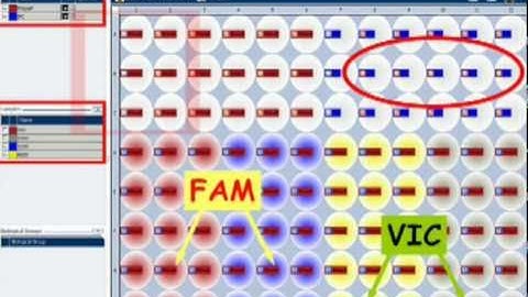 ViiA 7 Software: Part 1--Manual Run Setups
