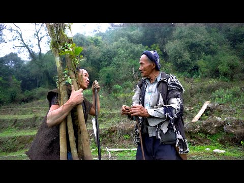 Vídeo: Uma Intervenção Integrada Para A Gestão De Cuidados Crônicos Na Zona Rural Do Nepal: Protocolo De Um Estudo Híbrido De Implementação De Eficácia Tipo 2