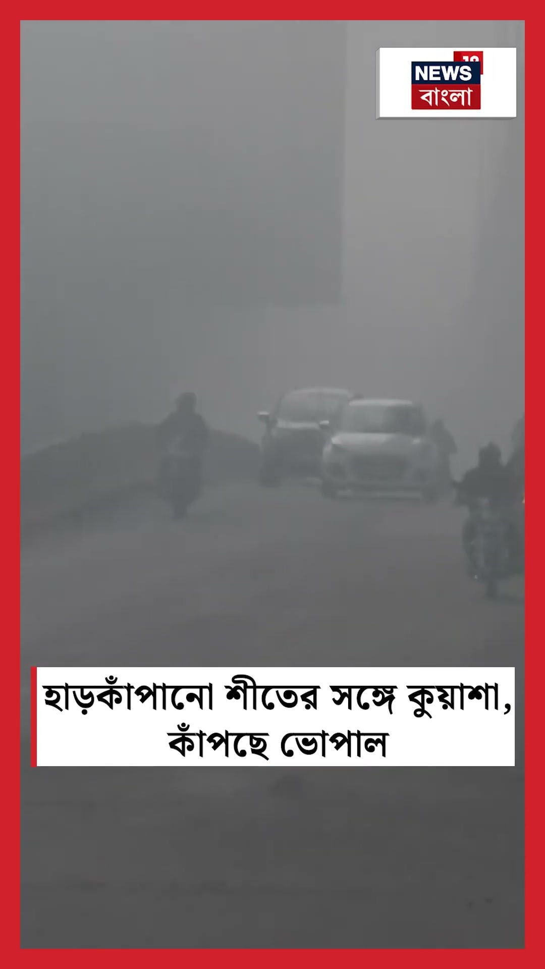হাড়কাঁপানো শীতের সঙ্গে কুয়াশা, কাঁপছে Bhopal | N18S #shorts