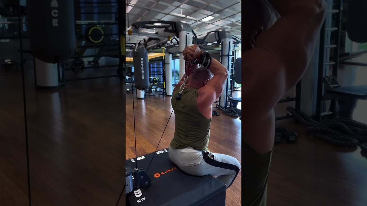 See it overhead tricep extensions using your power straps as handles are great