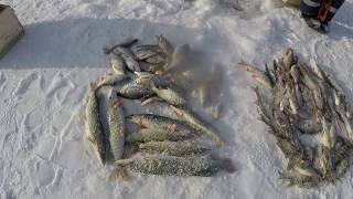 Зимняя рыбалка в Казахстане. Озеро Камбаш. С праздником, мужики!