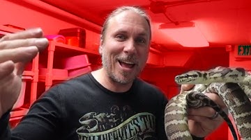 Close Call Snake Bite!! | BRIAN BARCZYK