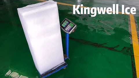 Kingwell 30 ton direct cooling ice block machine
