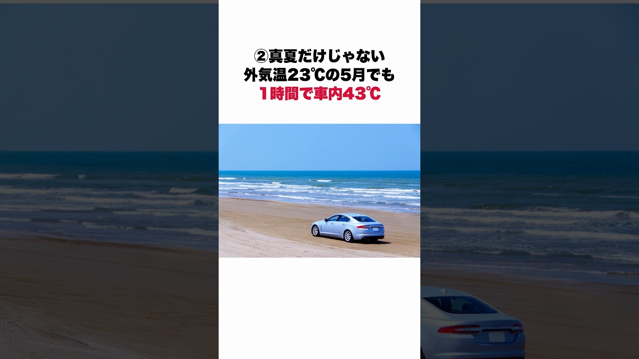 炎天下の車内に潜むリスクに関する面白い雑学 #車好き #車好きと繋がりたい