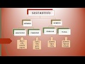 Comprensión de los Sustantivos
