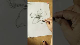 flower drawing #youtubeshorts #pencil #drawing#flower  #art##flowers  #pencildraw