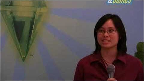 Sims 3 Developer Interview