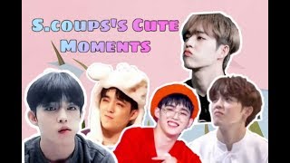 S.coups's Cute Moments || Cutest Leader Ever