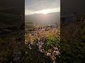 #naturelovers #fypシ゚viral #fyp #shortsfeed #shortvideo #viralvideo #viral #videos