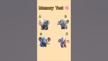 Fun Memory Test 🦒🐘🦊 | Brain Challenge Shorts #quiz #challengeshorts  #memorytest