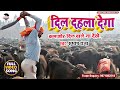 #Subhash_Raja - 2019 का सबसे हिट वीडियो -दिल दहला देगा कमजोर दिल वाले ना देखे  - #Laadla_Music