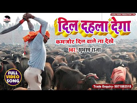 BIYA KA KASOOR -SUBHASH RAJA JI- GADHI MAIYA - DEVI GEET 2016 HD