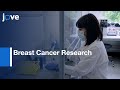 Epithelial and Endothelial Cell spheroids for Breast Cancer Research | Protocol Preview