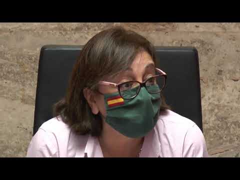 VOX Sobre IVA Mascarillas Noticia Informativos 12/11/2020