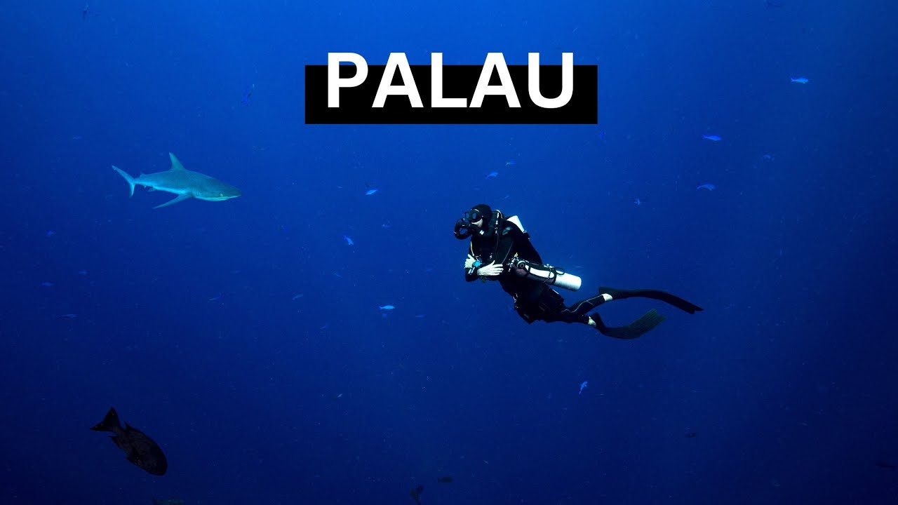Travel to Palau in 8K Tourism!