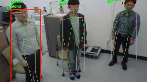 2018 2D Pose Estimaton-based Action Recognition