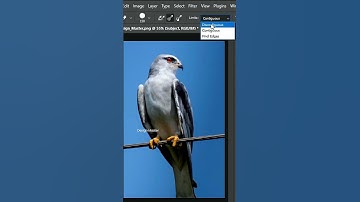 Remove Complicated Background in Photoshop! #shorts