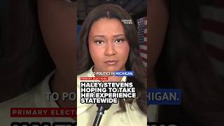 Michigan Senate primary could signal Democrats direction as Stevens faces El-Sayed