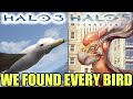 We Searched For Every Bird In Every Halo Game
