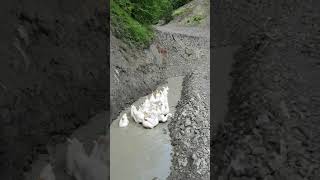 Linda Kazlar Ile Tanışma