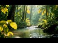 Night routine with bed music and brain relaxing sounds to ease your mind