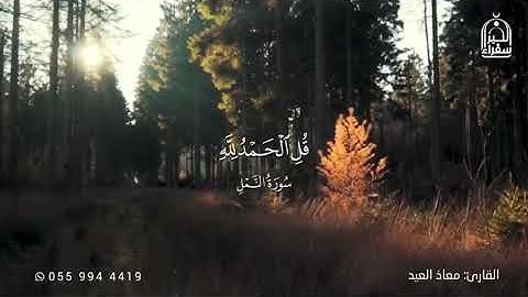 تلاوة سورة النمل للقارئ:معاذ العيد🍃🌹♥️