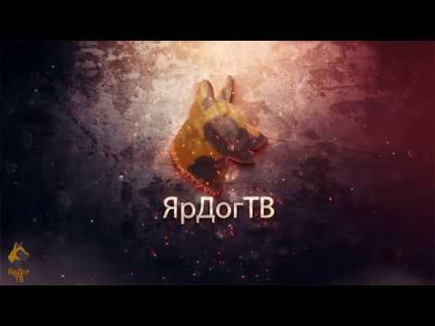 Как выбрать кинолога. Соня и Готя в поисках семьи.