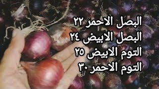 عاجل _ شاهد البصل و التوم انهاردة بكام و اسعار البطاطس الجديدة تنذر بإرتفاع صادم للمستهلك