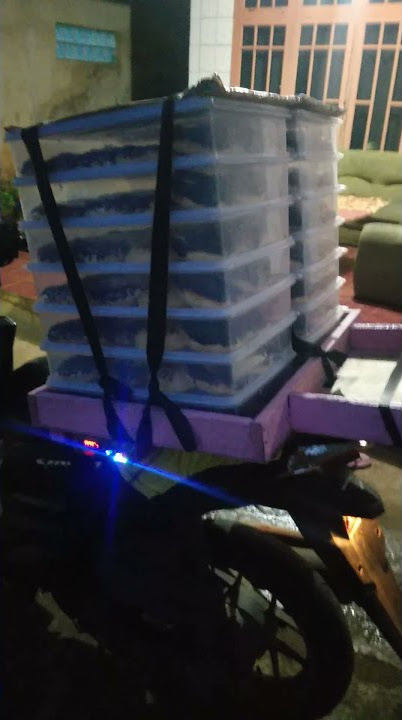 ide jualan donat keliling