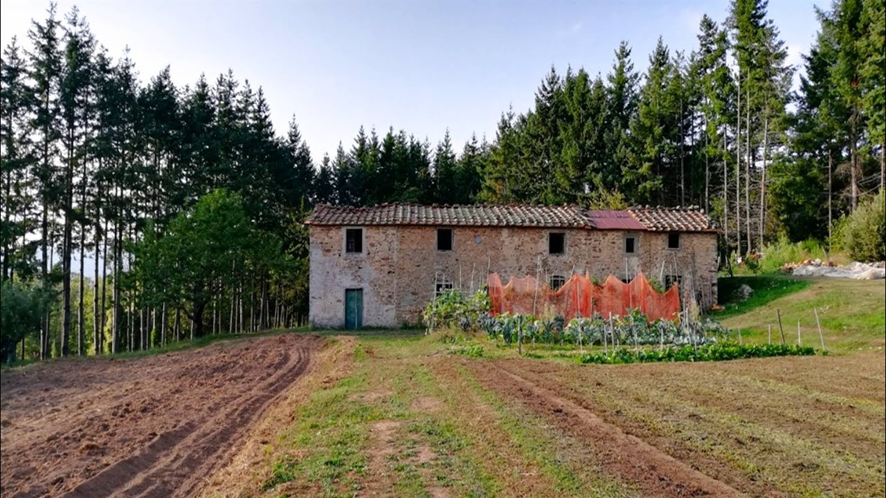 Do you want a farmahouse in TUSCANY ? We are looking for the ideal ...