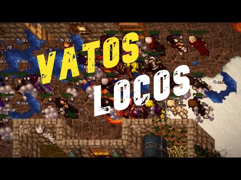 Tibia - [?VATOS LOCOS - KINGDOM?] - EVOLUNIA.NET 10.98 ?