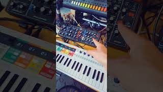 I had to do some synth stuff! I missed it. 🫠🎛️🎹