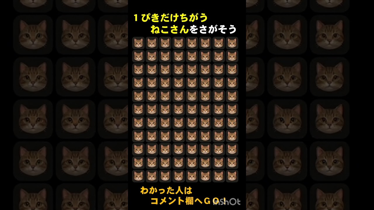 【ねこさん】一匹だけちがうのは？【IQ150？】 #shortvideo #subscribe #脳セラピー #iq