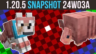 Minecraft 1.20.5 Snapshot 24W03A | Spawn Chunks Gamerule | Armadillo & Wolf New Looks!