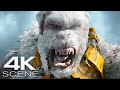 Godzilla King Kong Shimo Vs Skar King UHD 4K Fight Scene Godzilla X Kong The New Empire 