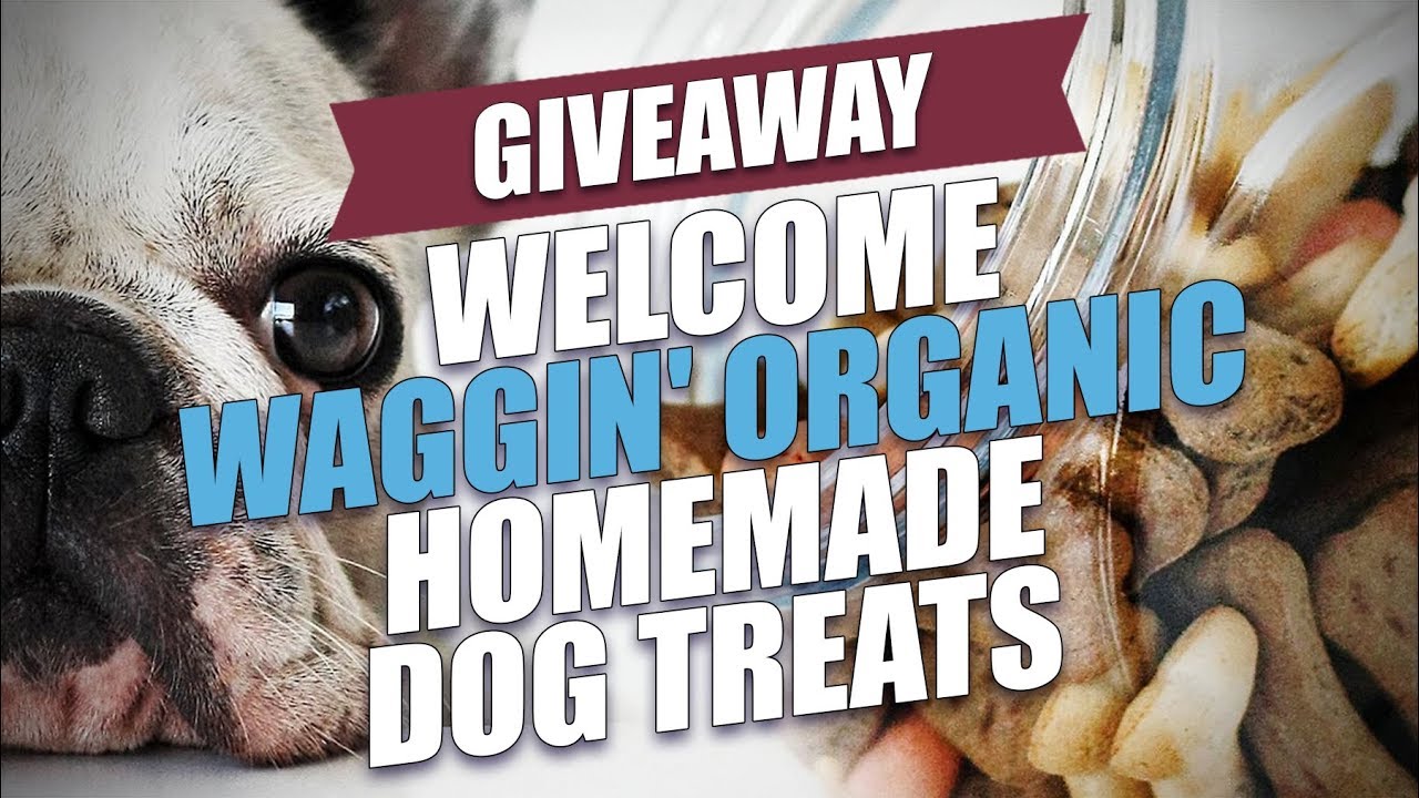 GIVEAWAY Waggin' Organic Homemade Dog Treats YouTube