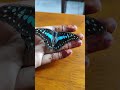 ✨🦋🦋