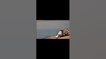 Astronauts exploring a stunning planet #aishorts #nextgenai #shortvideo #music