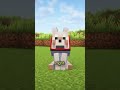 SPEAR DOGS SECRET in Minecraft
