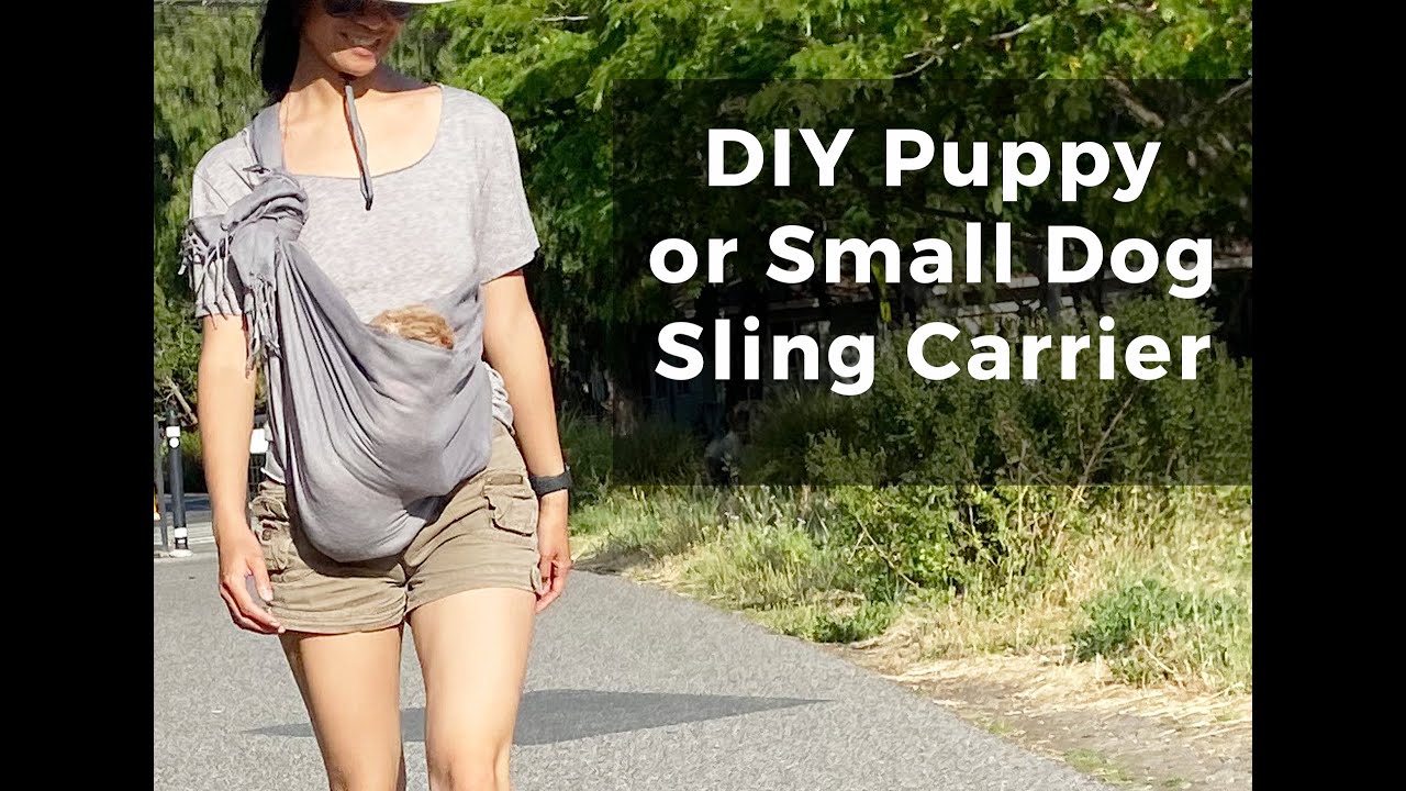 How To Make A Dog Carrier Out Of A Scarf