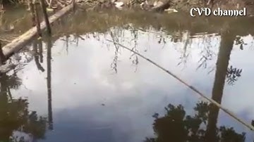 Đi câu cá rô đồng cùng ông bác