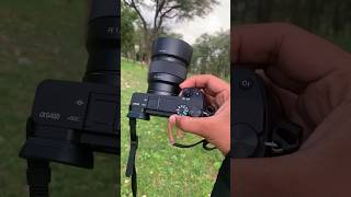 Sony A6400  50mm lens photography test #photography #sonyportrait #sony #trend #viral  #shrots
